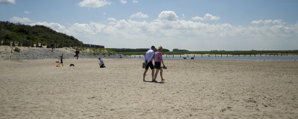 Strand Header