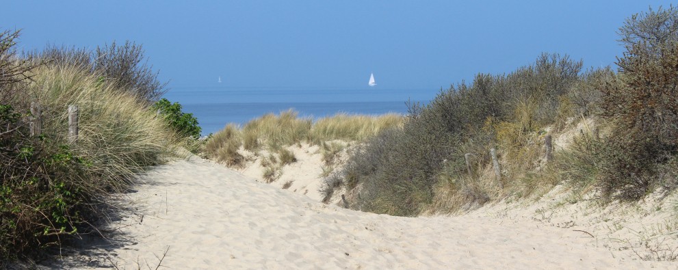 Duinen Cadzand-Bad