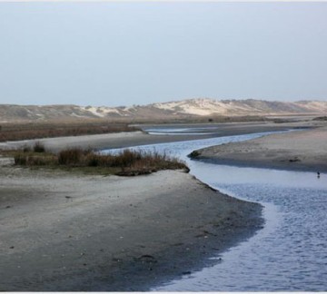 Natuurgebied 't Zwin