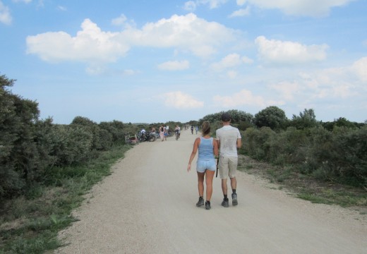 Wandelen
