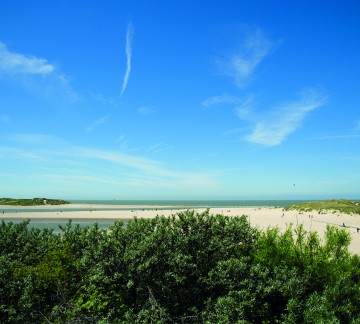 Zwingebied