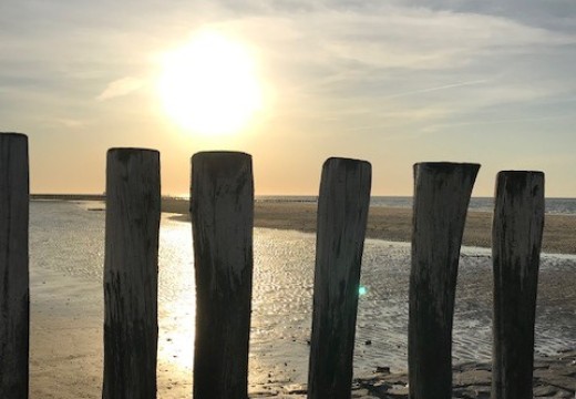 Strandpalen, zonsondergang.jpg