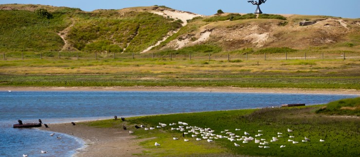 Het Zwin Natuurpark