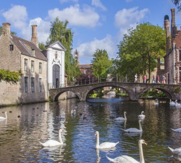 Brugge - Begijnhof - Zwanen