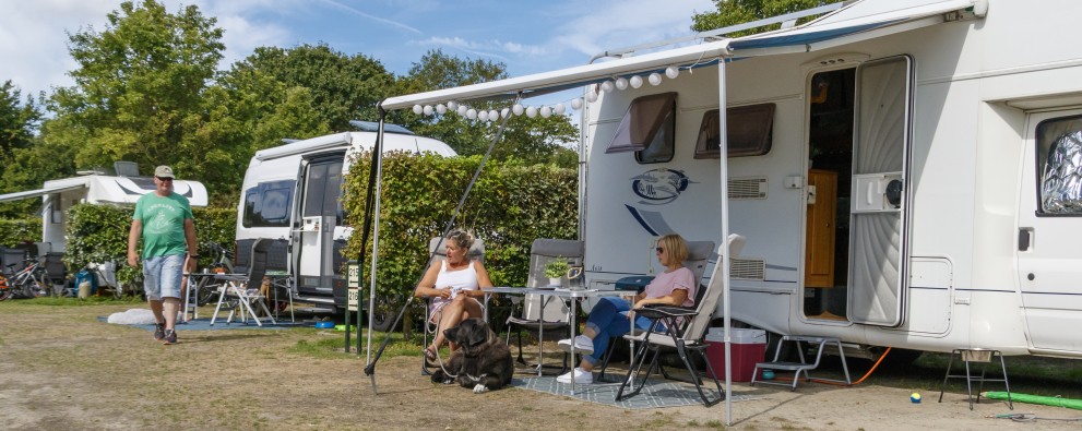 2023 Zwinhoeve-50.jpg 2023 Zwinhoeve-50.jpg