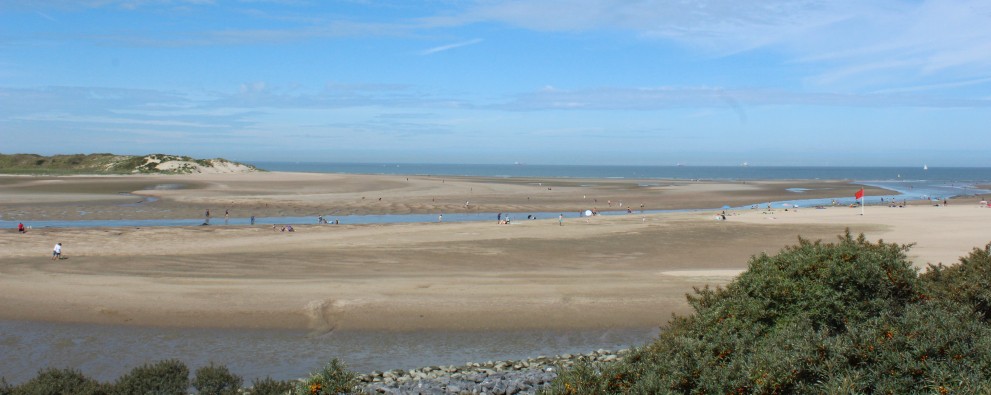 Duinen 2020 (13).JPG
