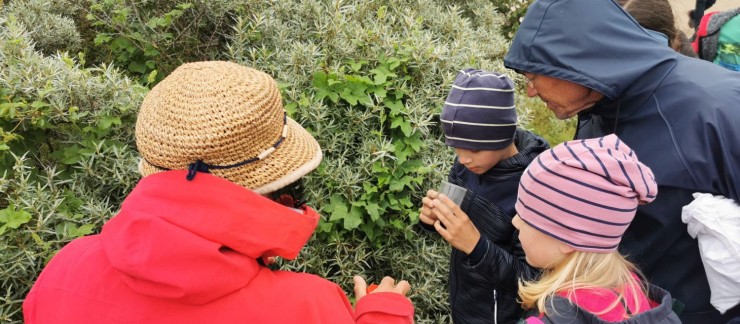 Zwin-expeditie met Soan Lan