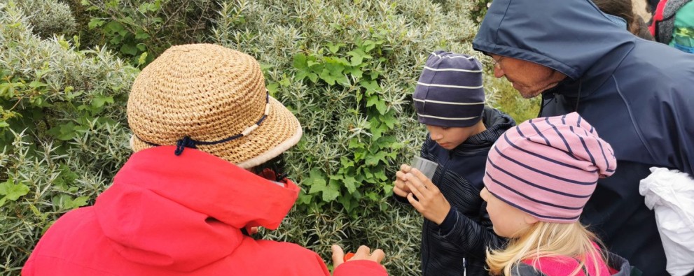 Zwin-expeditie met Soan Lan